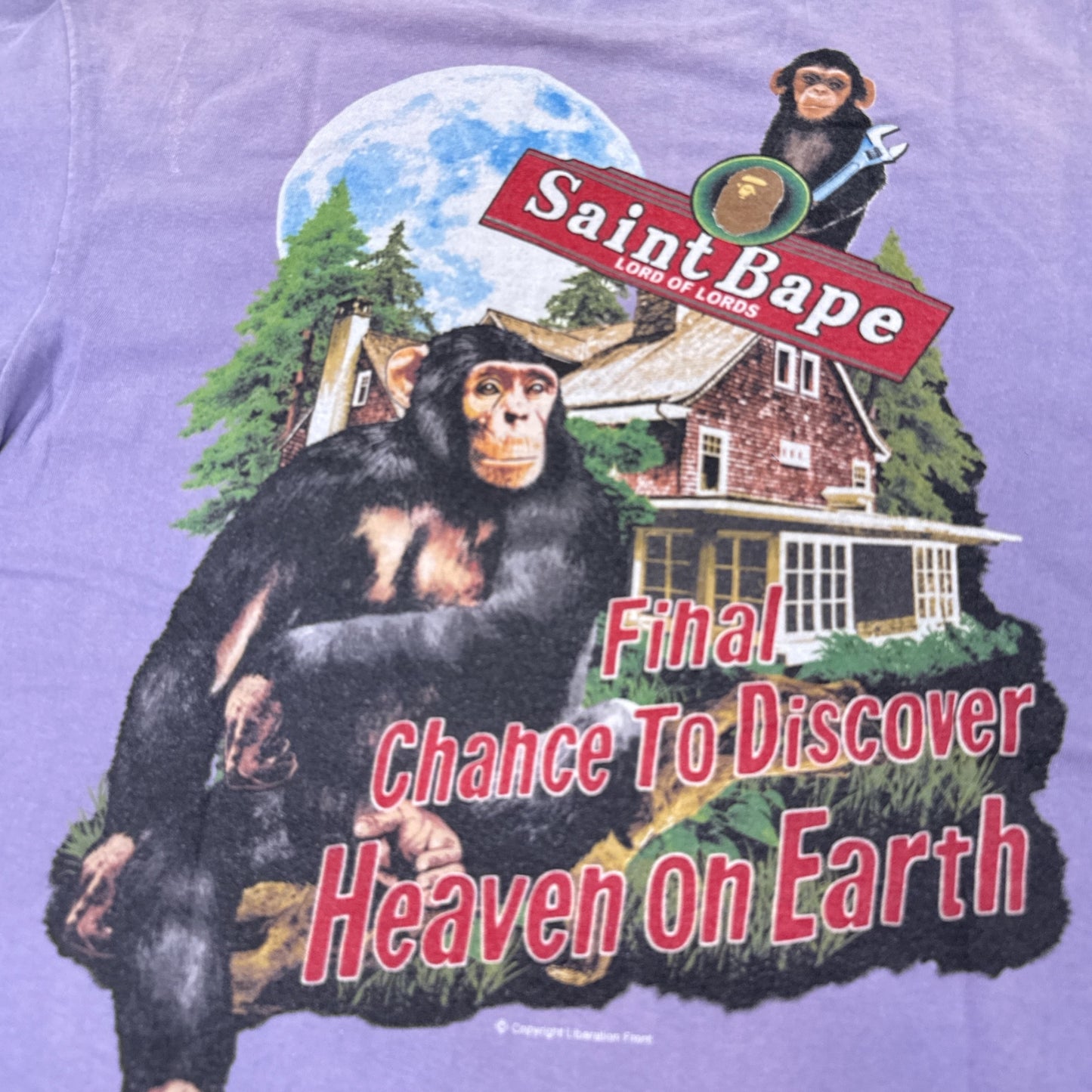 Saint Mxxxxxx Bape House Tee