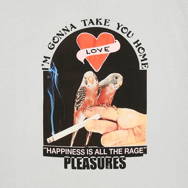 Pleasures Love Birds T-Shirt in Grey